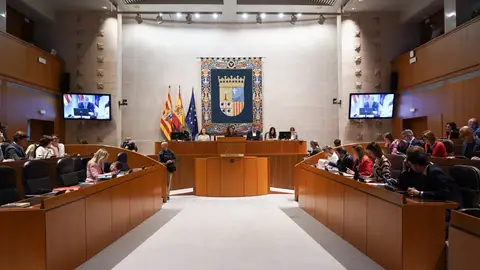 PP y VOX han rechazado un minuto de silencio por Maricarmen y CHA y PSOE han utilizado su intervención para rendirle homenaje PP y VOX han rechazado un minuto de silencio por Maricarmen y CHA y PSOE han utilizado su intervención para rendirle homenaje