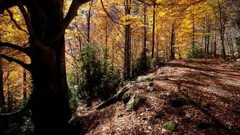 Turismo Verde augura un excelente Puente del Pilar en Huesca Turismo Verde augura un excelente Puente del Pilar en Huesca