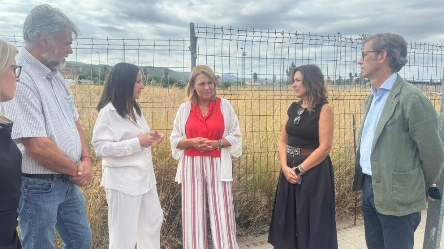 Parcelas en las que se construir&aacute;n las viviendas