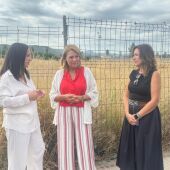 Parcelas en las que se construirán las viviendas
