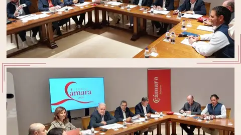 Áridos Antolín Medalla de Oro de los premios de la Cámara de Comercio .