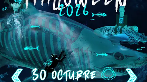 El Acuario de Sevilla celebra Halloween con una noche de misterio entre tiburones y actividades para toda la familia El Acuario de Sevilla celebra Halloween con una noche de misterio entre tiburones y actividades para toda la familia