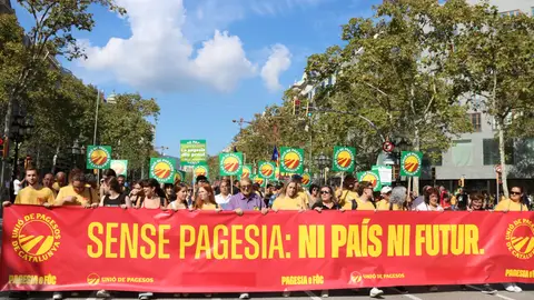 La pagesia catalana es mobilitza a Barcelona per reclamar ajuts directes i denunciar l’augment dels costos La pagesia catalana es mobilitza a Barcelona per reclamar ajuts directes i denunciar l’augment dels costos
