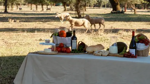 Una campaña impulsada por FEXAMUR en Extremadura busca visibilizar el papel de las mujeres en el sector agroalimentario Una campaña impulsada por FEXAMUR en Extremadura busca visibilizar el papel de las mujeres en el sector agroalimentario