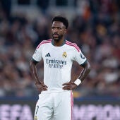 Vinicius