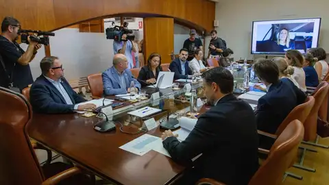 Mérida reclama a la Junta 42 millones de deuda histórica y que participe en la construcción del Museo Visigodo Mérida reclama a la Junta 42 millones de deuda histórica y que participe en la construcción del Museo Visigodo