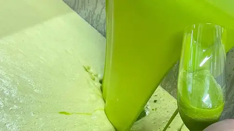 Molturación aceituna en verde Molturación aceituna en verde