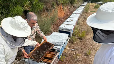 La Junta de Extremadura ha abonado esta semana más de 22 millones de euros en ayudas agroganaderas La Junta de Extremadura ha abonado esta semana más de 22 millones de euros en ayudas agroganaderas