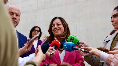 Mar&iacute;a del Carmen Castillo, consejera de educaci&oacute;n de la Junta de Andaluc&iacute;a