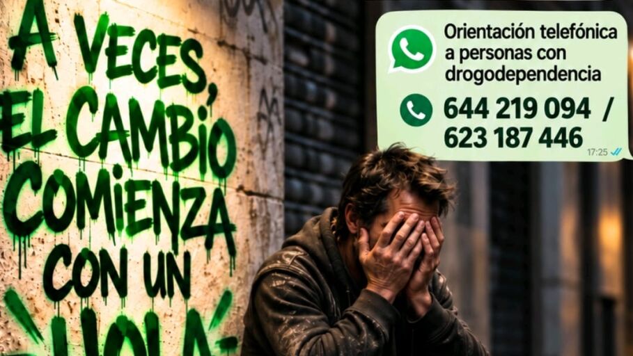 Apoyo y orientaci&oacute;n en l&iacute;nea