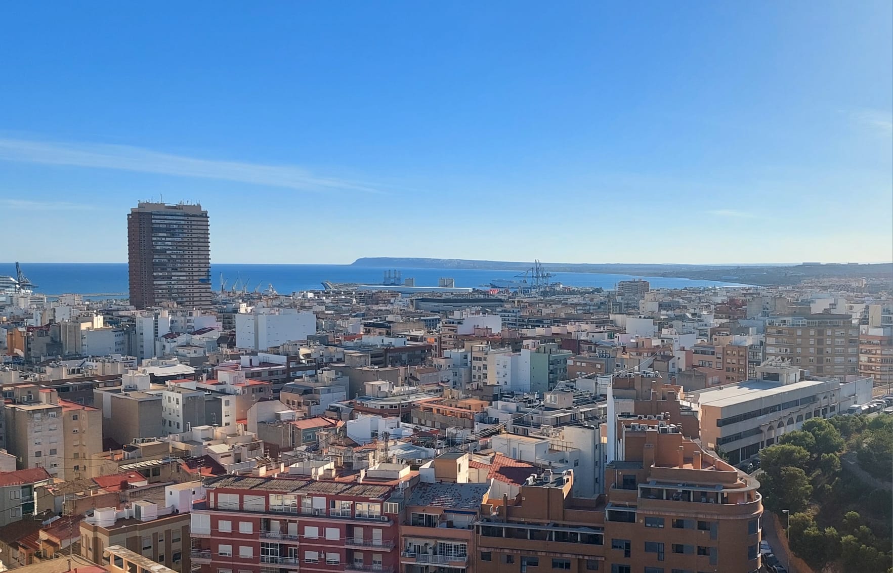 El Ayuntamiento y el Puerto de Alicante impulsan el proyecto ‘Puentes climáticos: islas de biodiversidad Puerto-Ciudad’ El Ayuntamiento y el Puerto de Alicante impulsan el proyecto ‘Puentes climáticos: islas de biodiversidad Puerto-Ciudad’