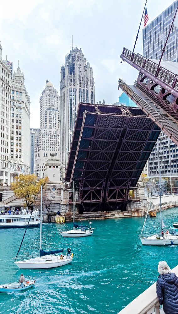 Un paseo en barco por el río Chicago, experiencia recomendada