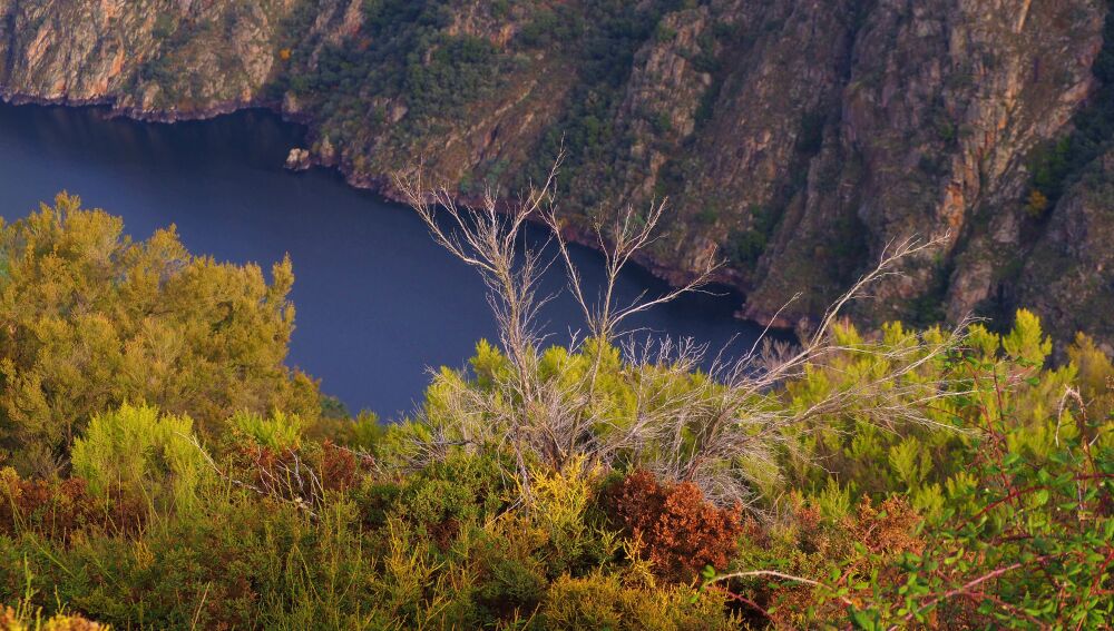 Ribeira Sacra ourensana