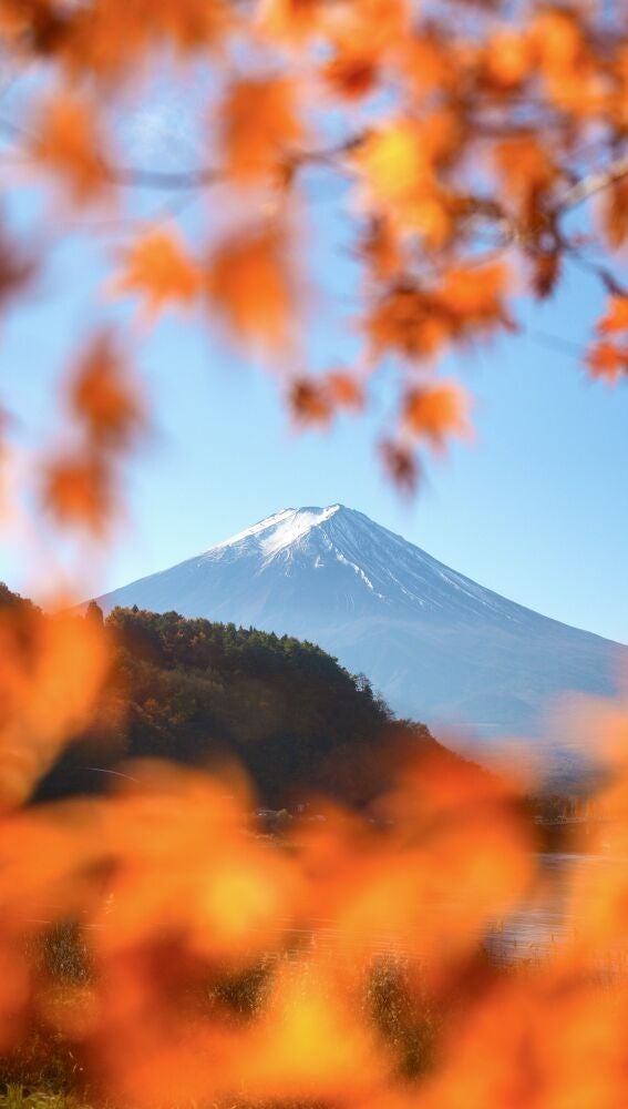 Monte Fuji enmarcado en los colores del otoño