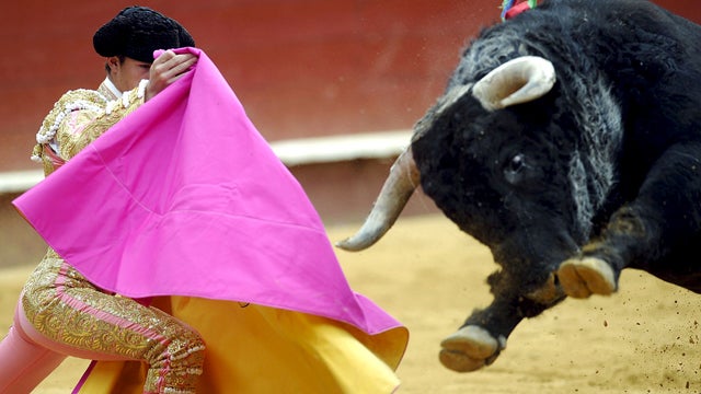 El Constitucional anula la Ley balear de toros que prohibía la muerte del animal El Constitucional anula la Ley balear de toros que prohibía la muerte del animal