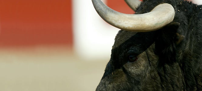 CLM facilitará la celebración de corridas de toros retransmitiéndolas por televisión CLM facilitará la celebración de corridas de toros retransmitiéndolas por televisión