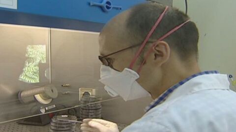 Un cient&iacute;fico estudia la bacteria de la legionella