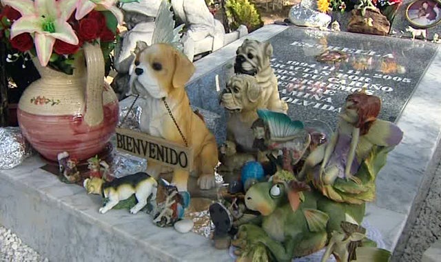 España tendrá el primer cementerio público para mascotas España tendrá el primer cementerio público para mascotas