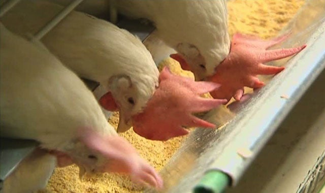 La Brújula de La Rioja.Gastronomía 01/04/2020 La Brújula de La Rioja.Gastronomía 01/04/2020