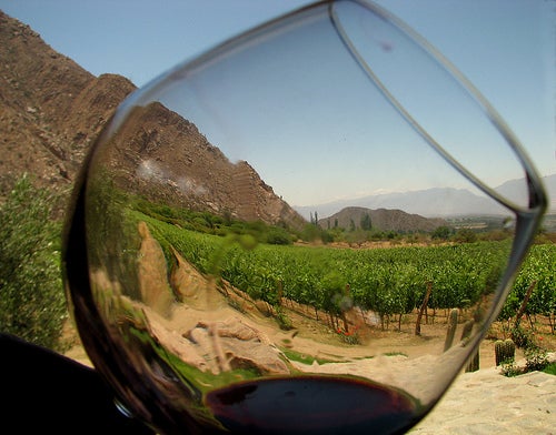 El Rincón del Mítico: Los vinos de Utiel-Requena El Rincón del Mítico: Los vinos de Utiel-Requena