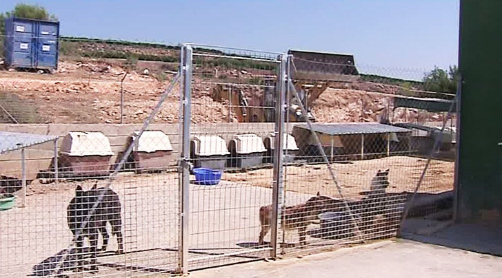 ¿Es la Leishmaniosis transmisible a las personas? ¿Es la Leishmaniosis transmisible a las personas?