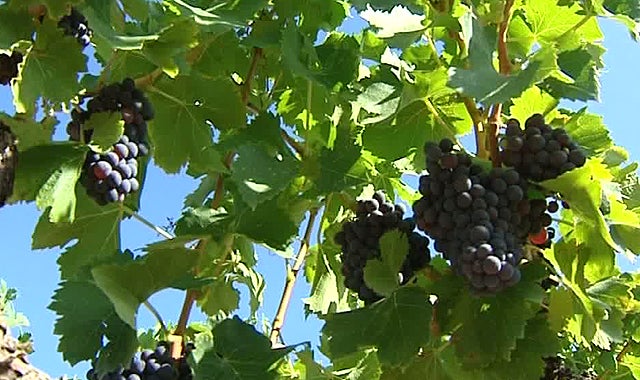 La Rioja en la onda 24/08/2016 La Rioja en la onda 24/08/2016