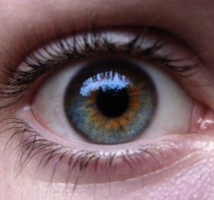 Ojos azules con manchas de marrón Ojos azules con manchas de marrón