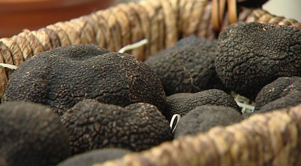 Robin Food nos enseña a cocinar un revuelto de trufa negra Robin Food nos enseña a cocinar un revuelto de trufa negra