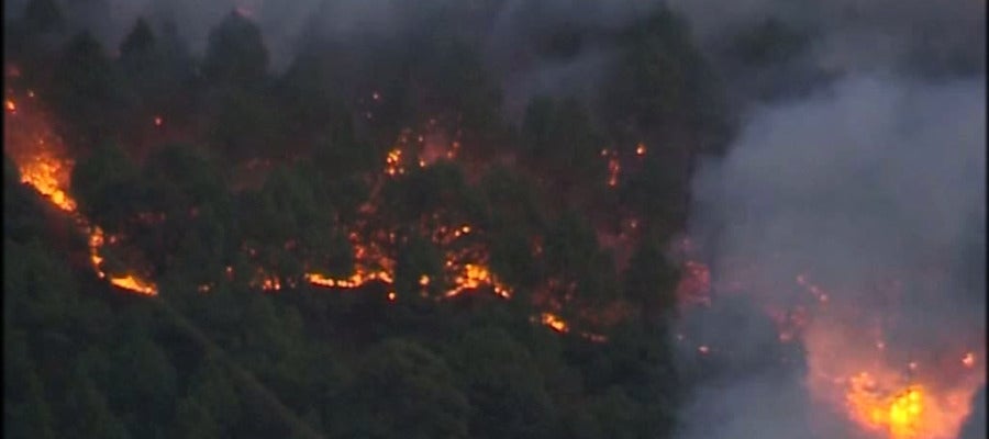 Tres incendios sin controlar en las islas Canarias Tres incendios sin controlar en las islas Canarias