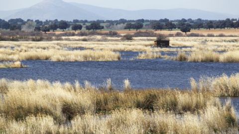El PP, a favor de un trasvase a Las Tablas de Daimiel