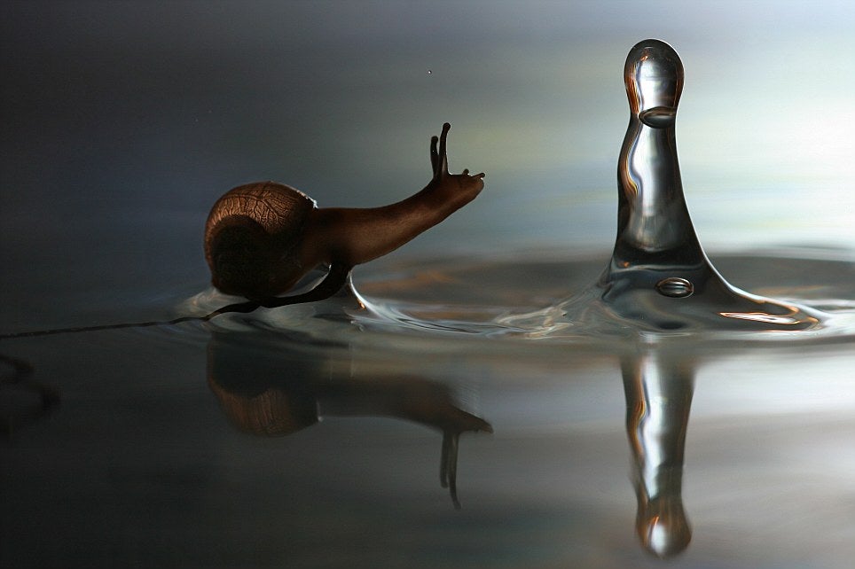 Eureka: Todo es natural Eureka: Todo es natural