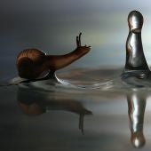 El caracol desafía a la gota de agua