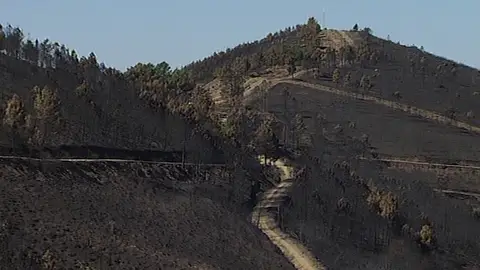 El incendio de Sierra de Gata se da por estabilizado El incendio de Sierra de Gata se da por estabilizado