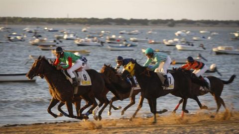 Carreras de caballos
