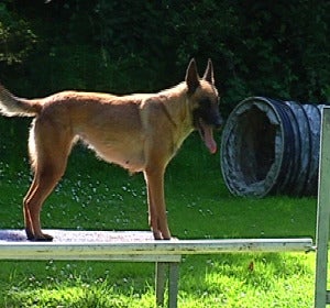 Agility Agility