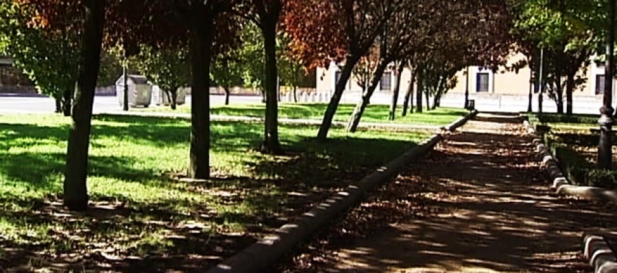 El hemisferio norte acoge la llegada del otoño El hemisferio norte acoge la llegada del otoño