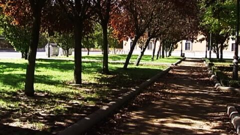 El hemisferio norte acoge la llegada del oto&ntilde;o