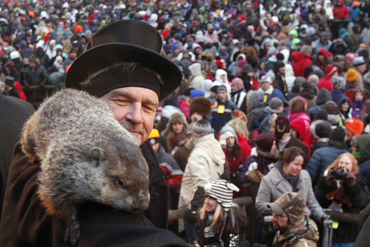 La marmota Phil predice seis semanas más de invierno en EEUU La marmota Phil predice seis semanas más de invierno en EEUU