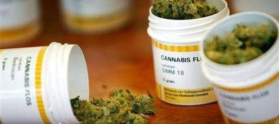 Cannabis terapéutico comercializado en otros países europeos Cannabis terapéutico comercializado en otros países europeos