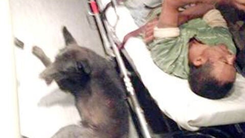 Imagen del perro acompa&ntilde;ando a su amo en la ambulancia