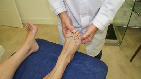 Consejos pod&oacute;logicos