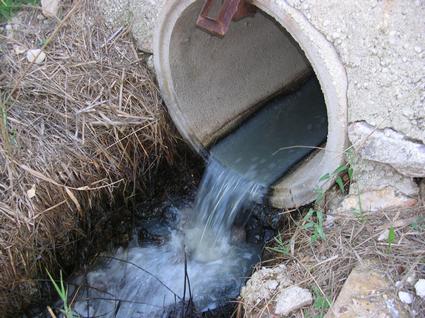 Los ecologistas denuncian la muerte de truchas por un vertido en el río Arlós Los ecologistas denuncian la muerte de truchas por un vertido en el río Arlós