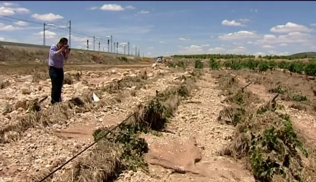 Naturaleza: "España es de los pocos países de la UE donde ya hay evidencias científicas de que el cambio climático está afectando a la producción agrícola" Naturaleza: "España es de los pocos países de la UE donde ya hay evidencias científicas de que el cambio climático está afectando a la producción agrícola"