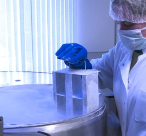 Técnicas como la criopreservación podrían 'resucitar cuerpos' en un futuro Técnicas como la criopreservación podrían 'resucitar cuerpos' en un futuro