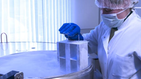 T&eacute;cnicas como la criopreservaci&oacute;n podr&iacute;an 'resucitar cuerpos' en un futuro