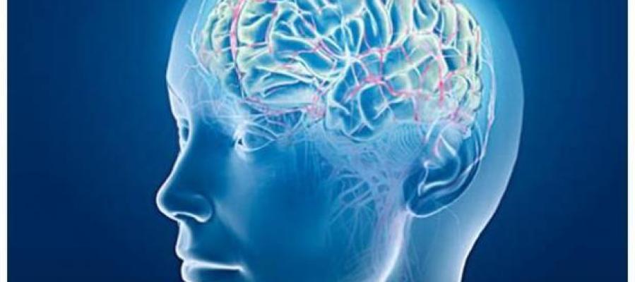 Estudio sobre el Alzheimer Estudio sobre el Alzheimer