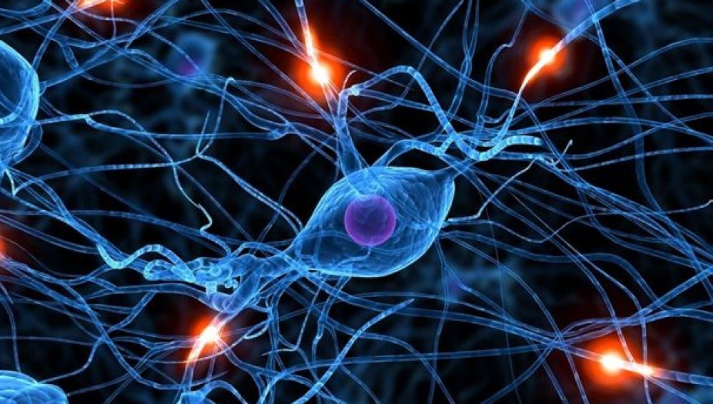 Investigan las conexiones cerebrales para tratar el alzhéimer