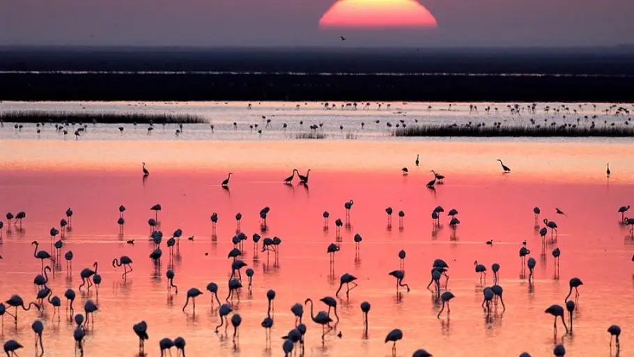 Atardecer en Doñana Atardecer en Doñana