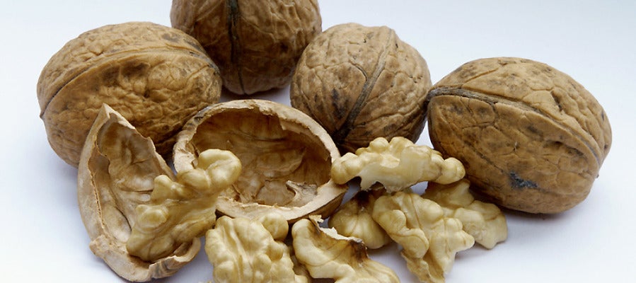 Las nueces, aliadas imprescindibles de nuestro cerebro. Las nueces, aliadas imprescindibles de nuestro cerebro.