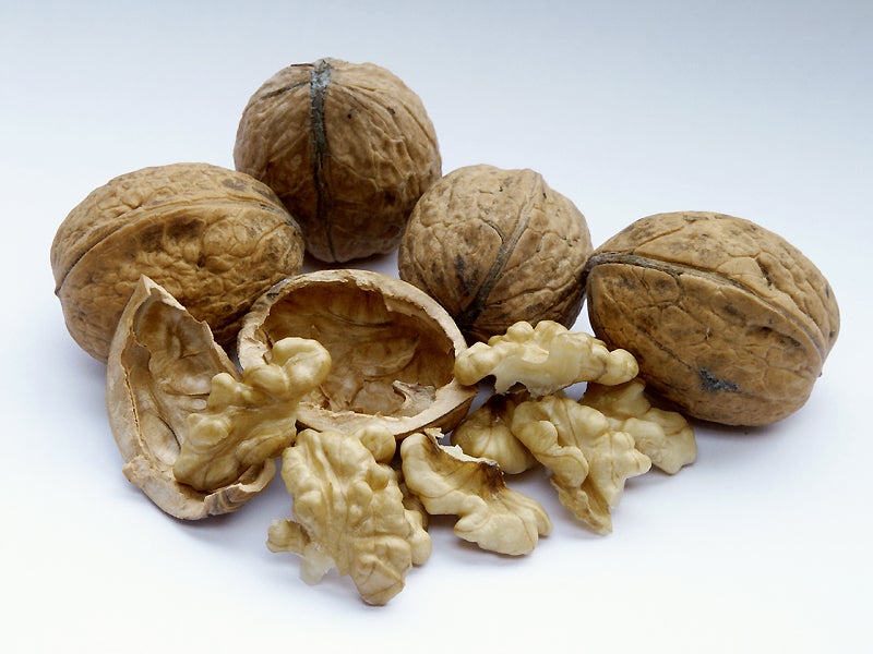Una dieta rica en nueces mejora la calidad y la función del semen Una dieta rica en nueces mejora la calidad y la función del semen